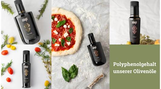 Der Wert von Polyphenolen in Extra Virgin Olive Oil